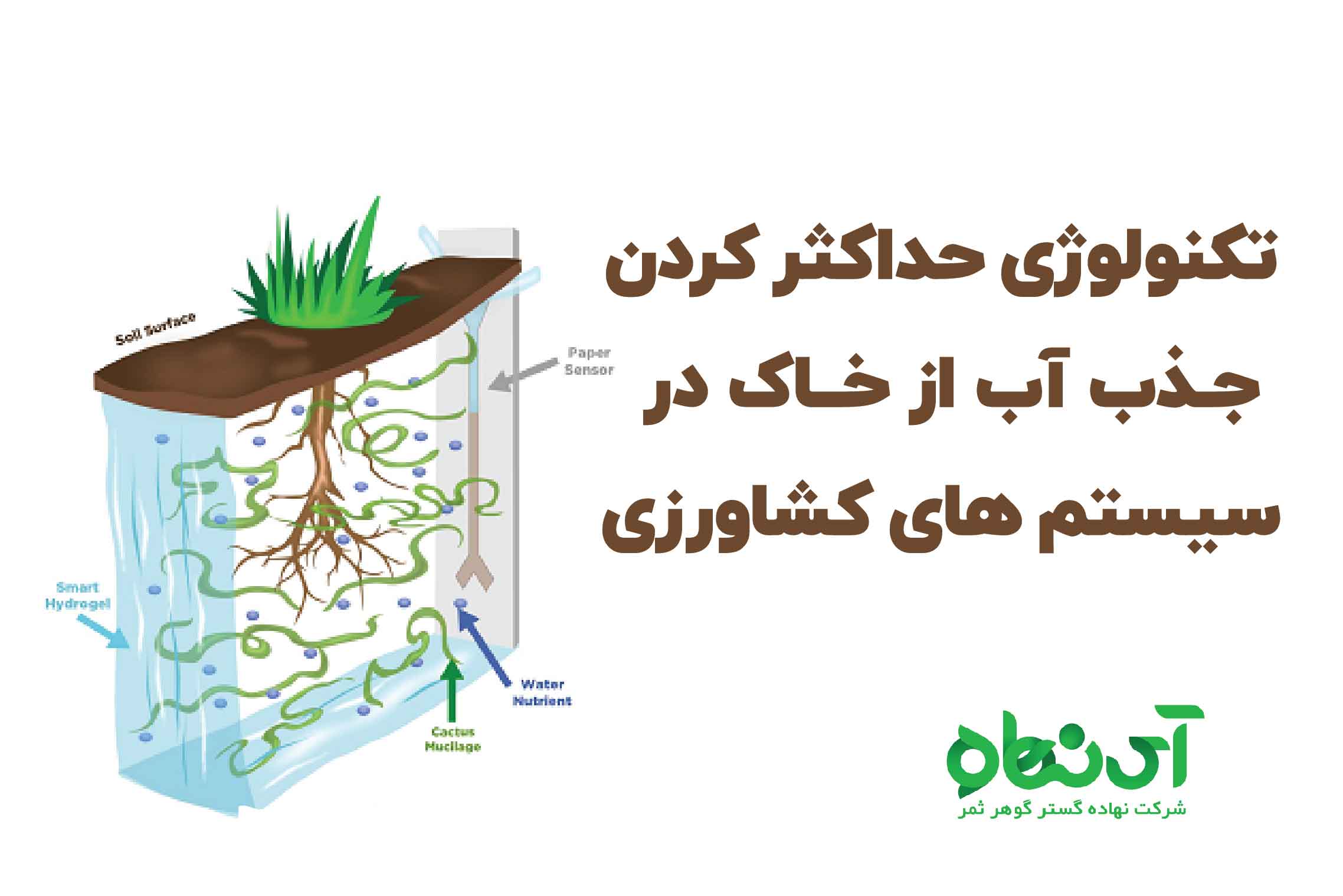 تکنولوژی حداکثر کردن جذب آب از خاک در سیستم های کشاورزی